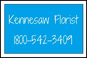 kennesawflorist.com