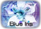 blueirissoftware.com