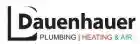 dauenhauerplumbing.com