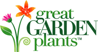 greatgardenplants.com